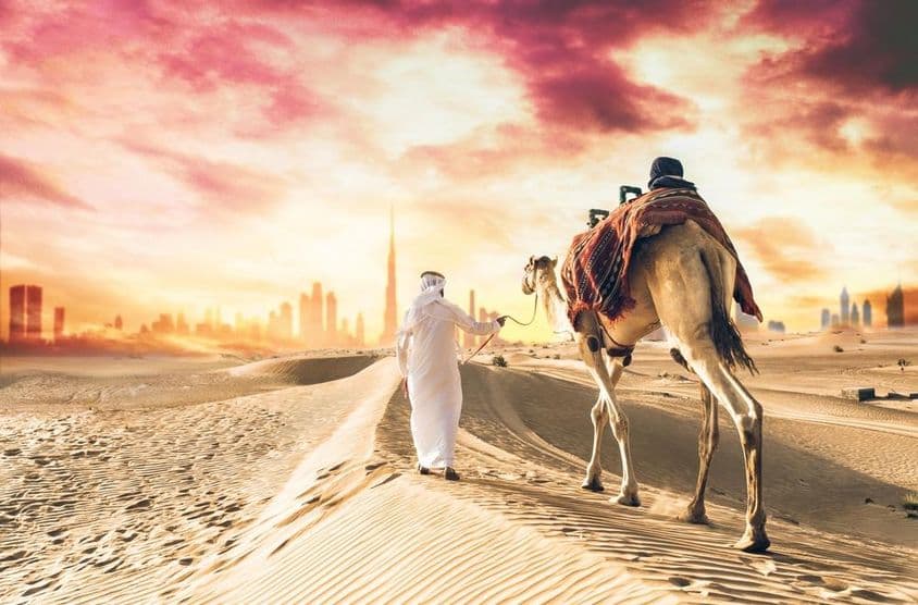 Camello árabe liderado por un emirato, con Burj Khalifa de fondo.
