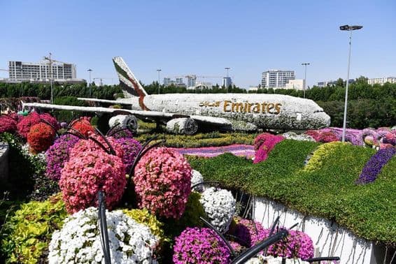 Modelo del Emirates A380 en el Dubai Miracle Garden, 150 millones de flores naturales