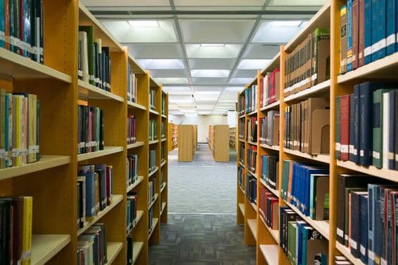 Una biblioteca es visible con estantes que contienen libros.