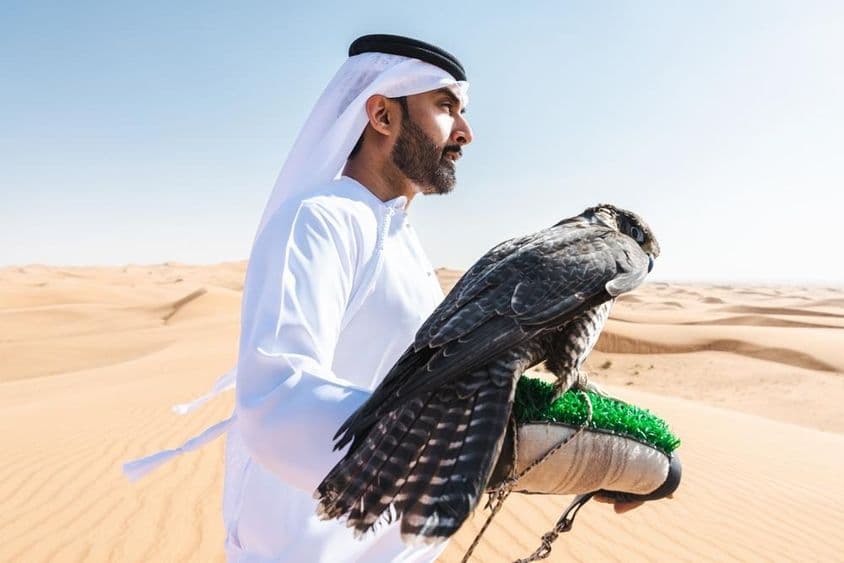 Un cazador emiratí sosteniendo un halcón en su brazo en el desierto.