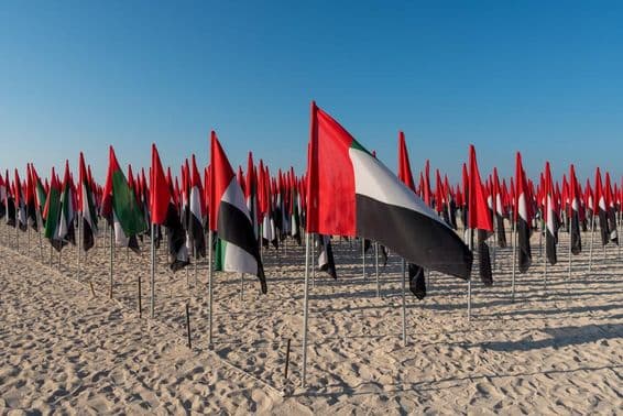 Banderas de EAU plantadas en una playa.