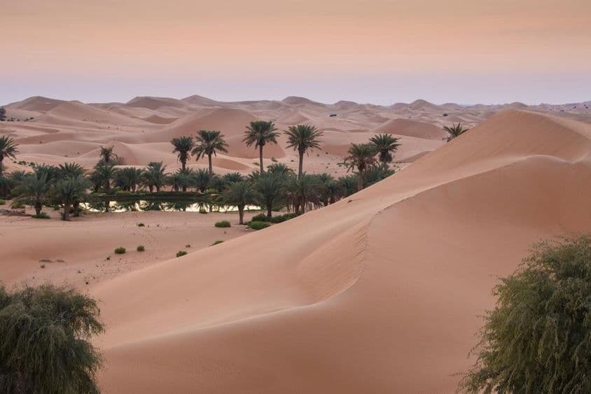 Dunas del desierto de Al Ain en los Emiratos Árabes Unidos.