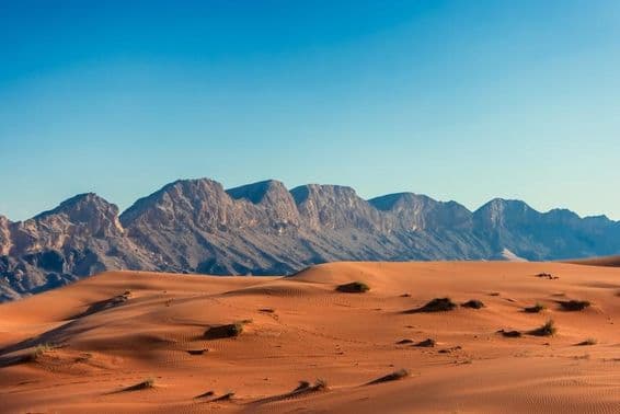 Desierto de los EAU con montañas al fondo.