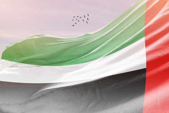 Bandera de EAU ondeando al viento.