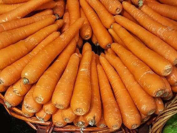 Zanahorias.