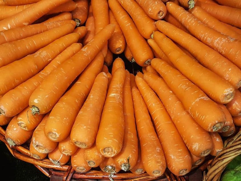 Zanahorias.