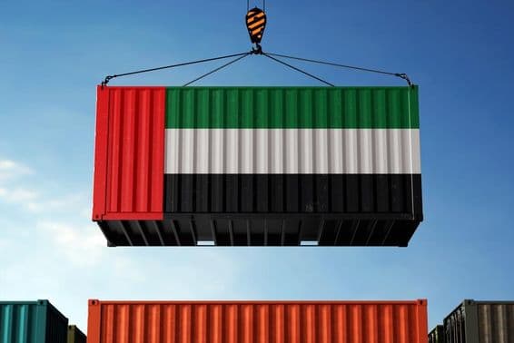 Una grúa levantando un contenedor pintado con los colores de la bandera de los EAU.