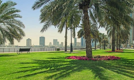 Césped verde cerca del paseo marítimo en Sharjah.