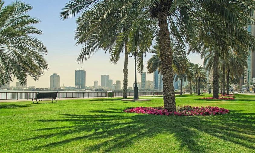 Césped verde cerca del paseo marítimo en Sharjah.