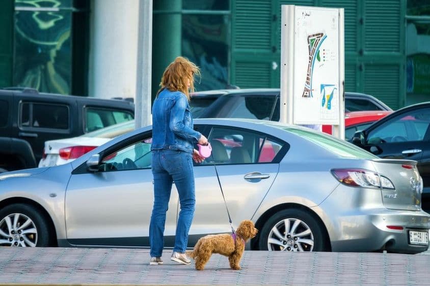 Mujer paseando un perro en Dubái, EAU.