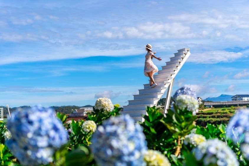 Joven viajera disfrutando de un floreciente jardín de hortensias.