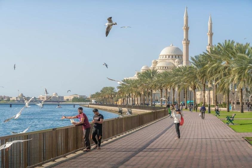 Sharjah, con la Mezquita Al Noor, la Laguna Khalid y el Golfo Pérsico, con palmeras y vista del skyline de la ciudad.