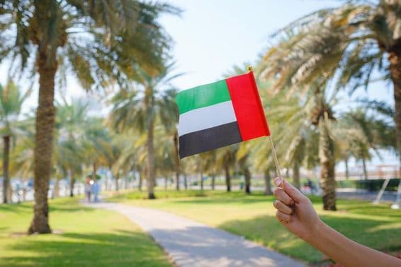 La mano de una mujer sosteniendo una bandera en miniatura de los Emiratos Árabes Unidos en un parque de Abu Dhabi.