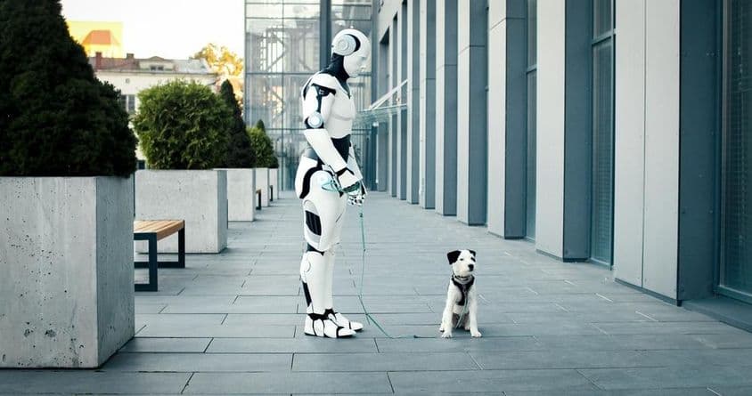 Robot impulsado por IA paseando un perro en la mañana.