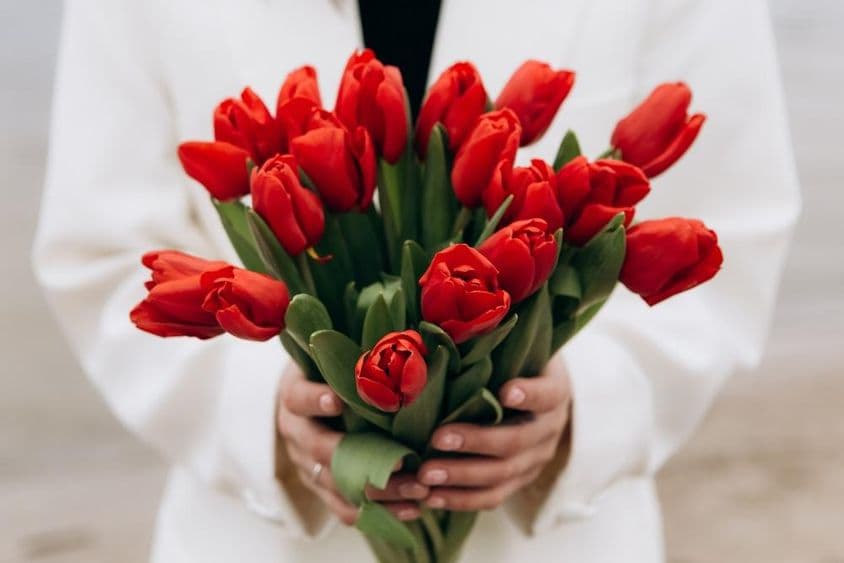 Un ramo de flores de tulipanes rojos.