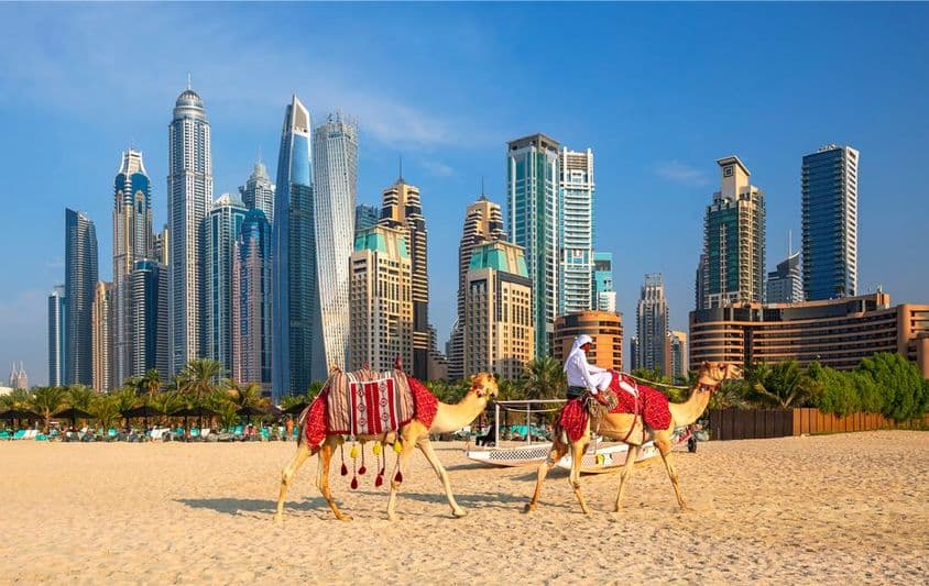 Vista de Dubai Marina, camellos y la famosa Jumeirah Beach en Dubái.