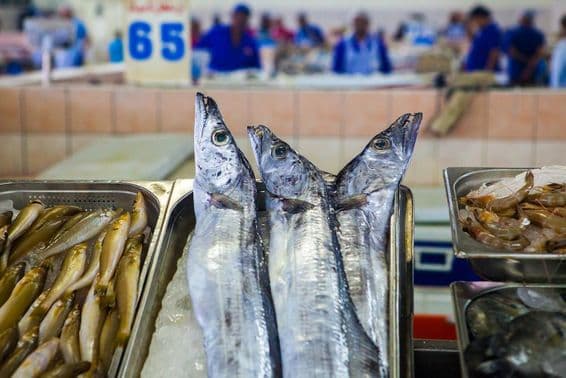 Abu Dhabi, mercado de pescado, camarones sobre hielo.