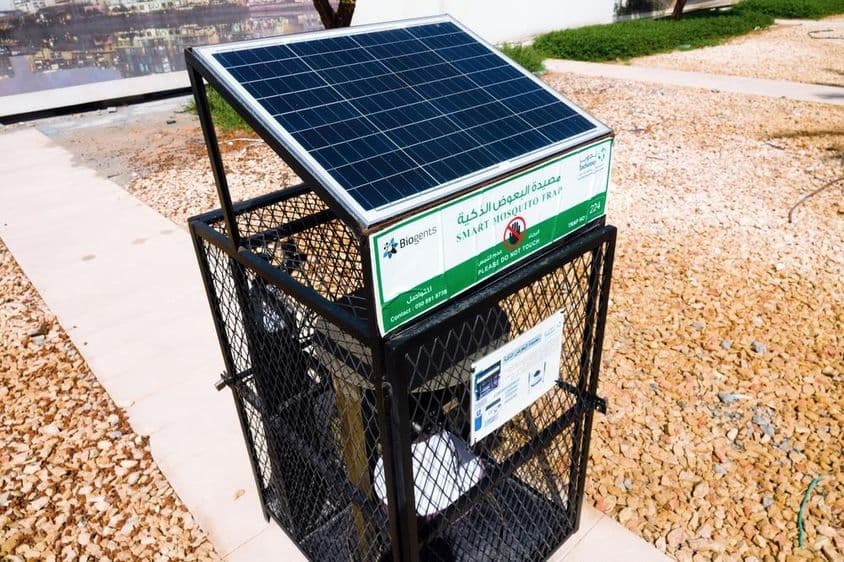 Abu Dabi, equipo industrial para matar mosquitos en la calle.