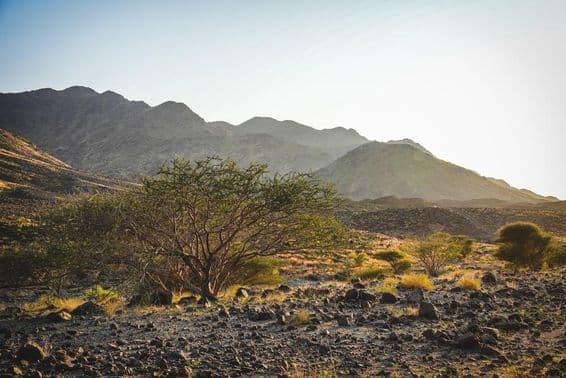 El terreno accidentado de Wadi Shawka en Ras Al Khaimah con senderos rocosos.