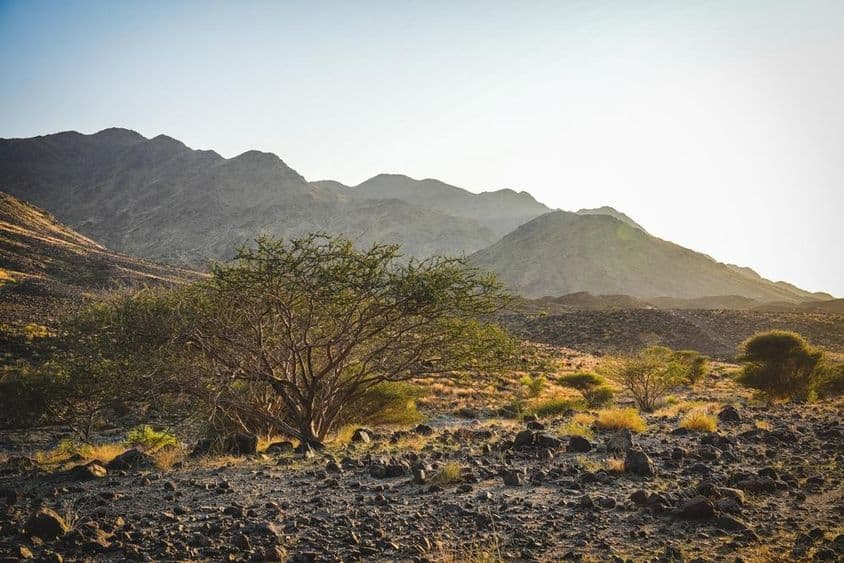 El terreno accidentado de Wadi Shawka en Ras Al Khaimah con senderos rocosos.