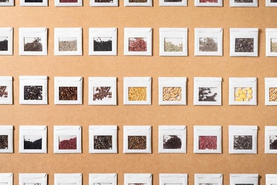 Semillas coloridas de varios vegetales y especias, aisladas en pequeños sobres hechos a mano.
