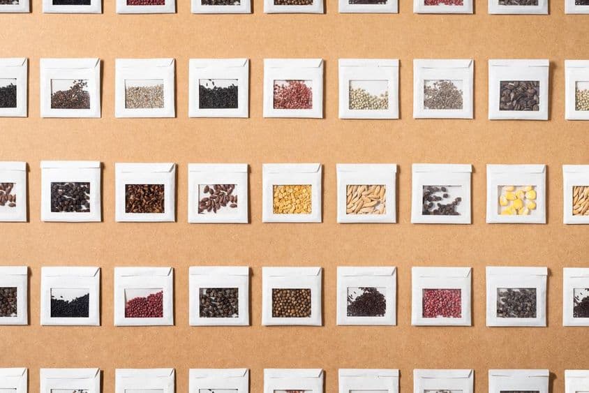 Semillas coloridas de varios vegetales y especias, aisladas en pequeños sobres hechos a mano.