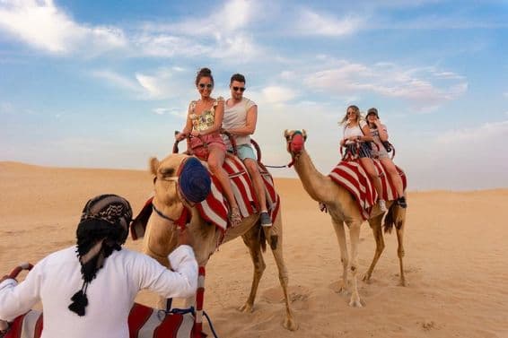 Paseos en camello por el desierto con dos camellos decorados.