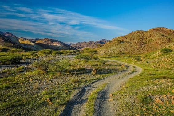 Montañas verdes en los Emiratos Árabes Unidos.