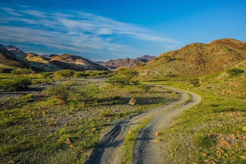 Montañas verdes en los Emiratos Árabes Unidos.
