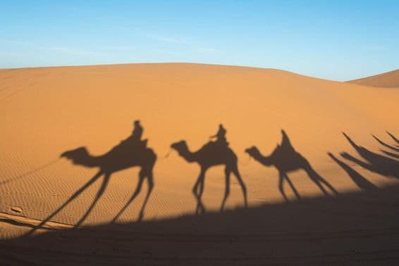 La sombra de un camello sobre las dunas de arena del desierto del Sahara.