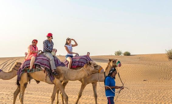 Turistas en un paseo en camello en el desierto de Dubái.