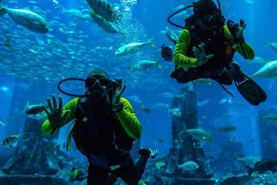 Gran acuario en el Hotel Atlantis en Dubái, Emiratos Árabes Unidos.