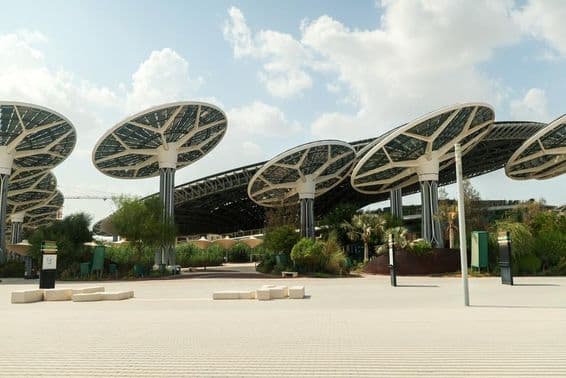 EXPO CITY DUBÁI Paneles solares y estructuras altas con forma de hongos abiertos.