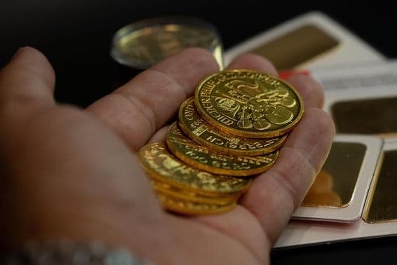 Sosteniendo monedas de oro austriacas reales en mano.