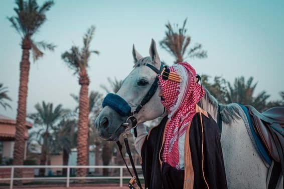 Un caballo con palmeras en el fondo.