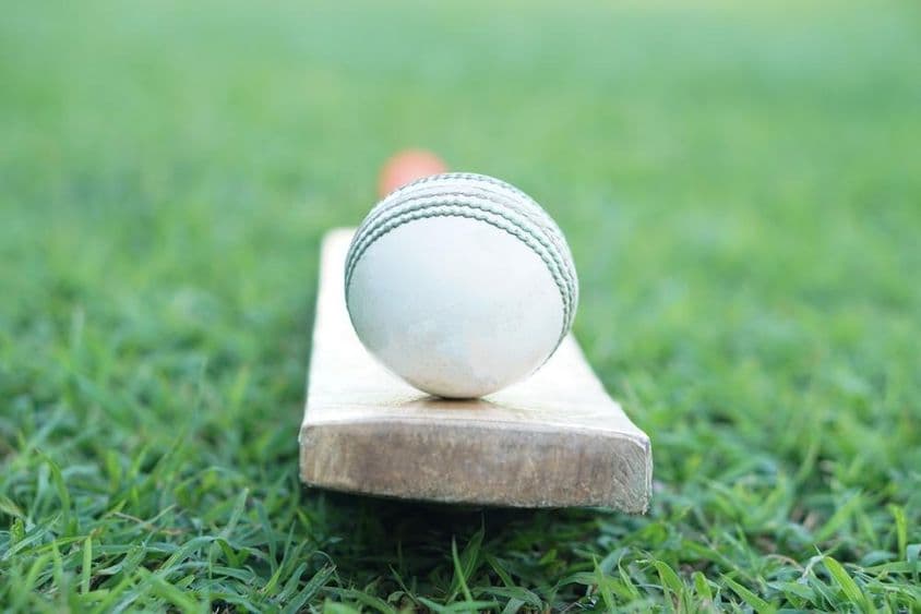 Pelota de críquet blanca sobre un bate de madera.