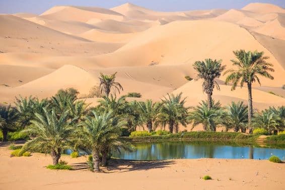 Al Ain, Abu Dabi, Emiratos Árabes Unidos.