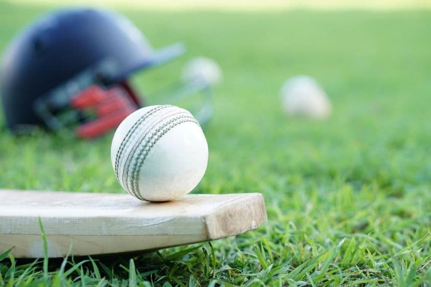 Pelota de cricket blanca sobre bate de madera.
