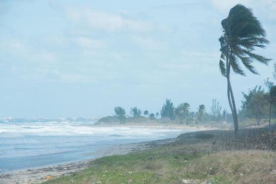 Un gran huracán cerca de las costas.