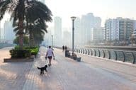 Una mujer paseando con su perro por la ciudad durante el amanecer.