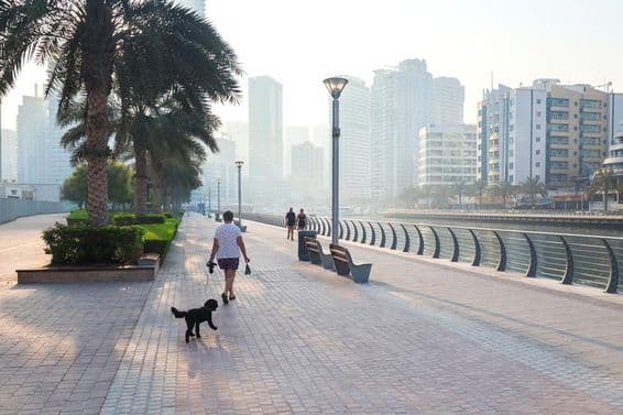 Una mujer paseando con su perro por la ciudad durante el amanecer.