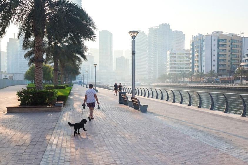 Una mujer paseando con su perro por la ciudad durante el amanecer.