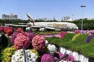 Dubai Miracle Garden durante el día.