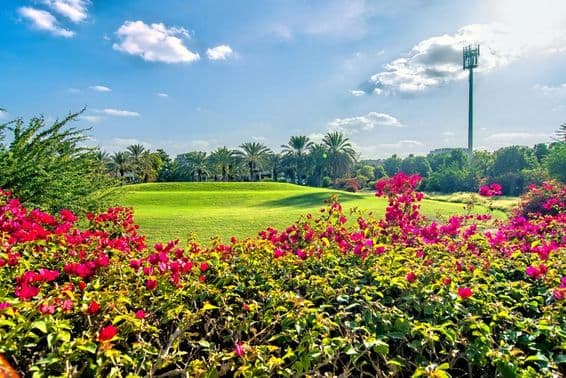 Hermosa mañana con flores y un campo de golf en Dubái.