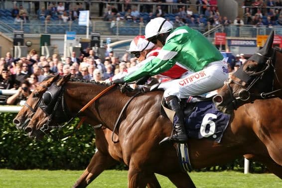 Carrera de caballos legendaria, ganando por una nariz.