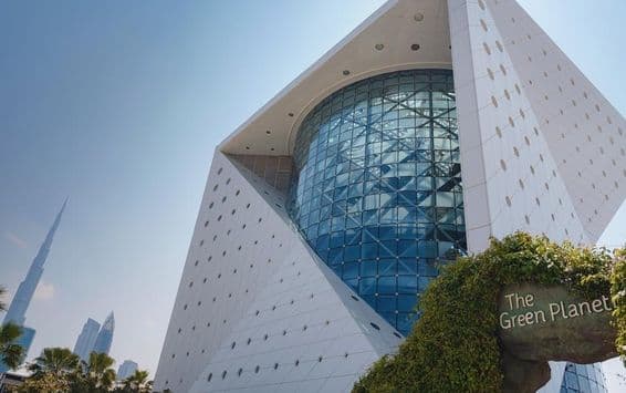 Un ecosistema único en el planeta verde de Dubái.