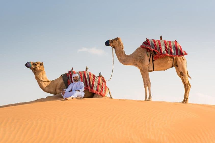 Un hombre árabe con vestido tradicional Kandura con dos camellos en el desierto.