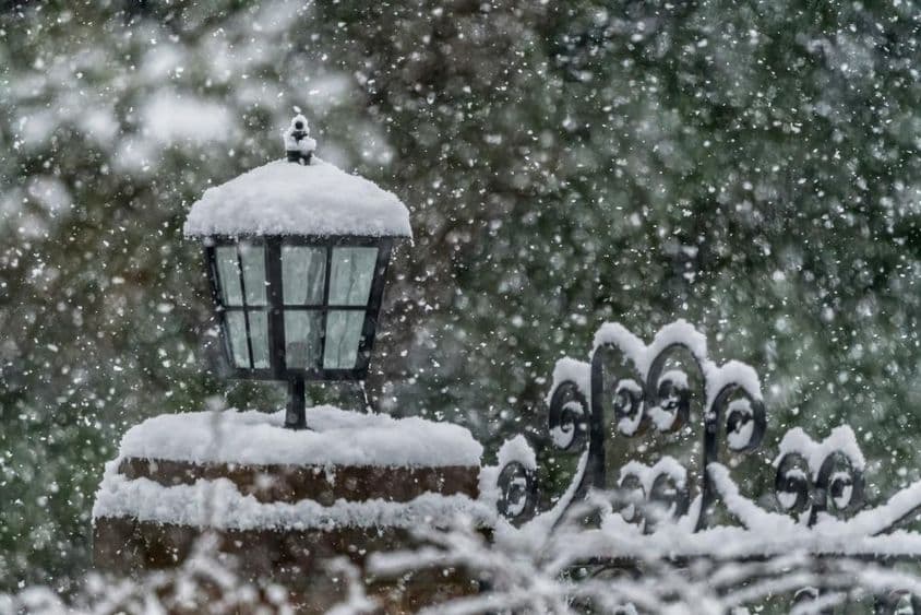 Nieve cayendo en un jardín durante el invierno.