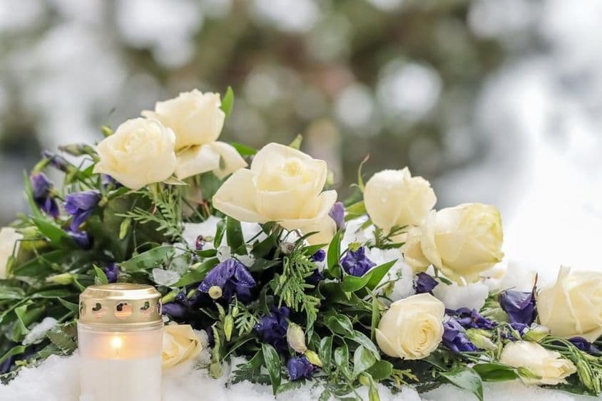 Un hermoso ramo de flores azules y blancas.