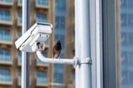 Pájaro en cámara de seguridad CCTV en la ciudad de Dubai.